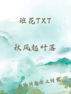 班花TXT