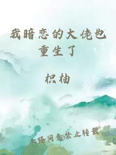 我暗恋的大佬也重生了