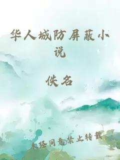 华人城防屏蔽小说