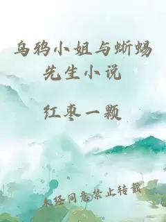 乌鸦小姐与蜥蜴先生小说