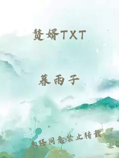 赘婿TXT