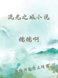 流光之城小说