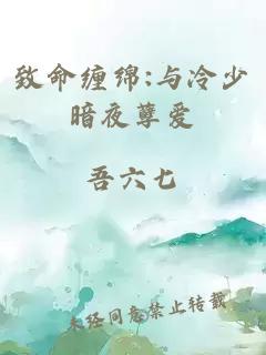 致命缠绵:与冷少暗夜孽爱