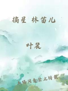 摘星 林笛儿