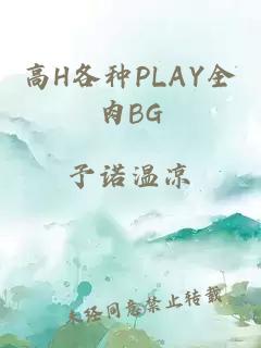 高H各种PLAY全肉BG