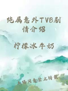 纯属意外TVB剧情介绍