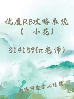 优质RB攻略系统(寀小花)