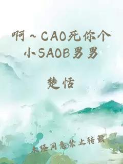 啊～CAO死你个小SAOB男男