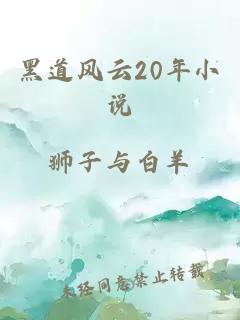 黑道风云20年小说