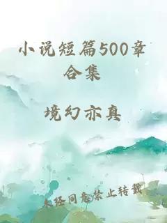 小说短篇500章合集