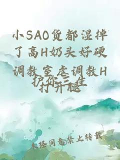 小SAO货都湿掉了高H奶头好硬调教室虐调教H打开腿