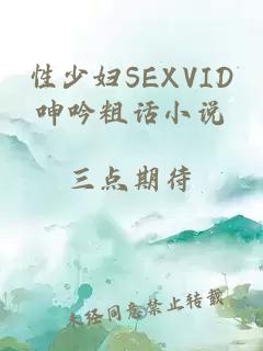 性少妇SEXVID呻吟粗话小说