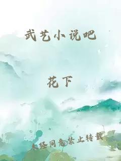 武艺小说吧