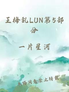 王梅乱LUN第5部分