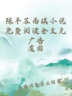 陈平苏雨琪小说免费阅读全文无广告