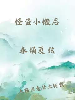 怪盗小懒后