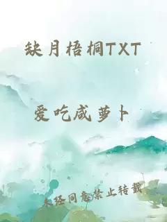 缺月梧桐TXT