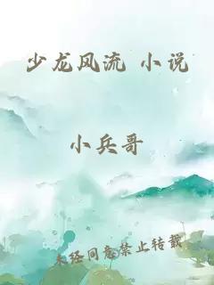 少龙风流 小说