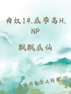 肉奴14.成孕高H.NP