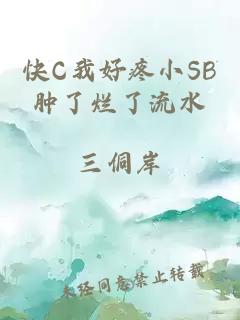 快C我好疼小SB肿了烂了流水