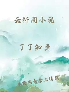 云轩阁小说