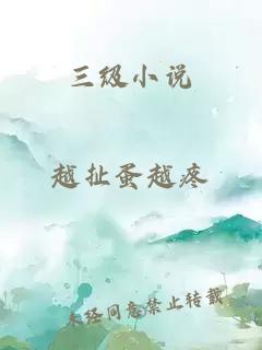 三级小说