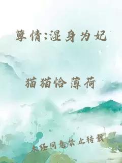 孽情:湿身为妃