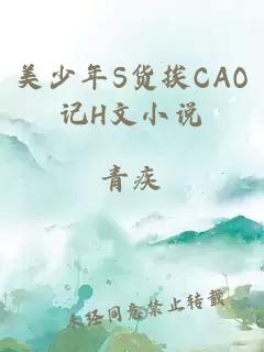 美少年S货挨CAO记H文小说