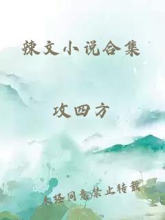 辣文小说合集