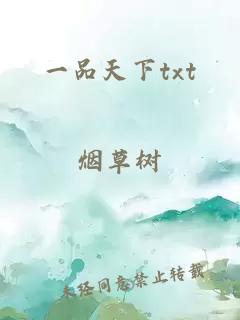 一品天下txt