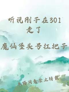 听说刚子在301走了