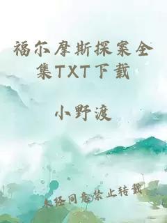 福尔摩斯探案全集TXT下载