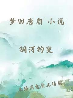 梦回唐朝 小说