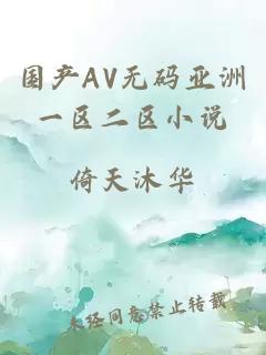 国产AV无码亚洲一区二区小说