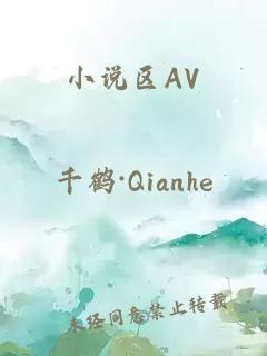 小说区AV