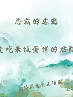 总裁的虐宠