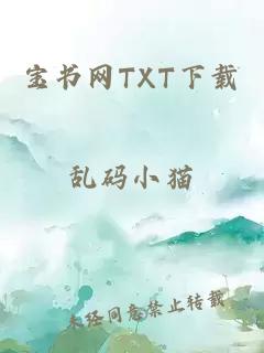 宝书网TXT下载