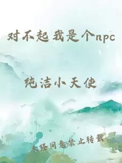 对不起我是个npc