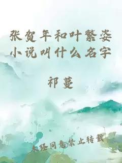 张贺年和叶繁姿小说叫什么名字