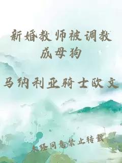 新婚教师被调教成母狗