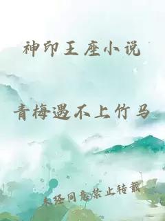 神印王座小说