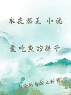 永夜君王 小说