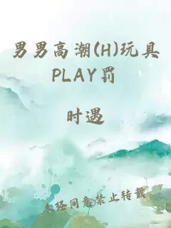 男男高潮(H)玩具PLAY罚