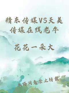 精东传媒VS天美传媒在线老牛