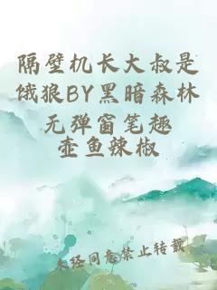 隔壁机长大叔是饿狼BY黑暗森林无弹窗笔趣