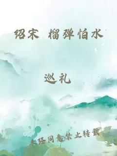 绍宋 榴弹怕水