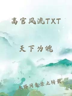 高官风流TXT