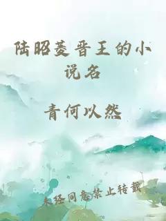 陆昭菱晋王的小说名