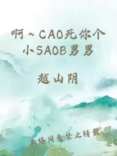 啊～CAO死你个小SAOB男男