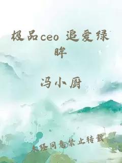 极品ceo 追爱绿眸